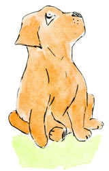 lallie kinderboek website logo